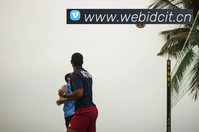 App Interface Preview